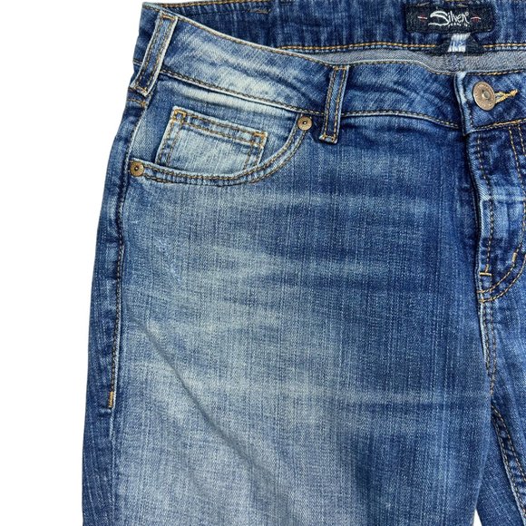 Silver Jeans Mid-Rise Girlfriend Jeans with Destruction (31/27) - Picture 4 of 14